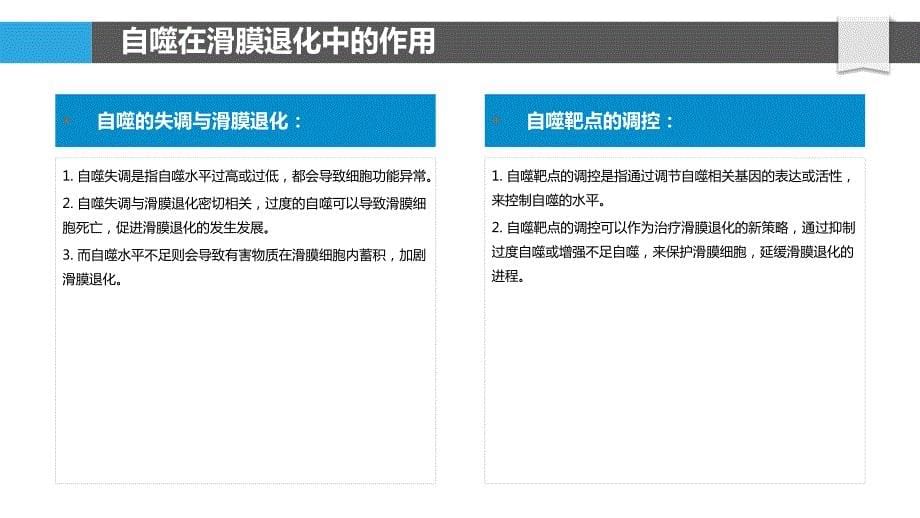 滑膜退化中的自噬和细胞凋亡机制_第5页