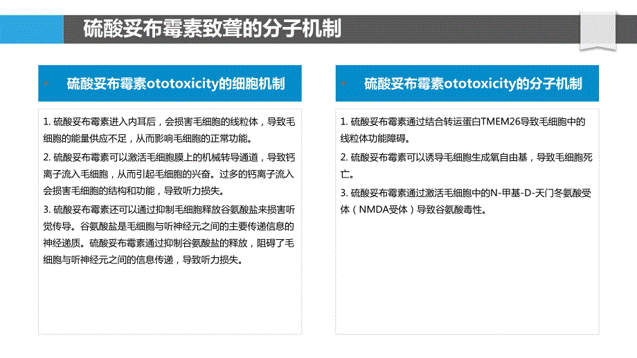 硫酸妥布霉素对听力影响的机制研究_第4页