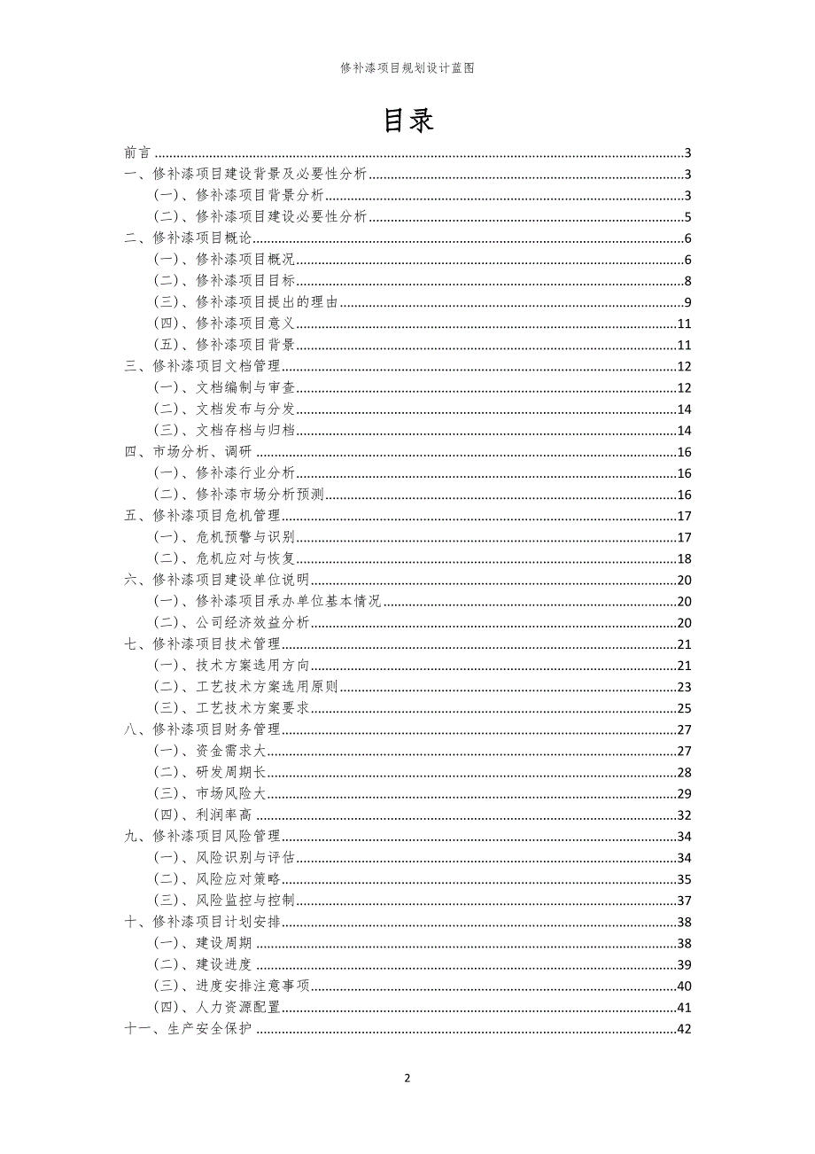 2024年修补漆项目规划设计蓝图_第2页