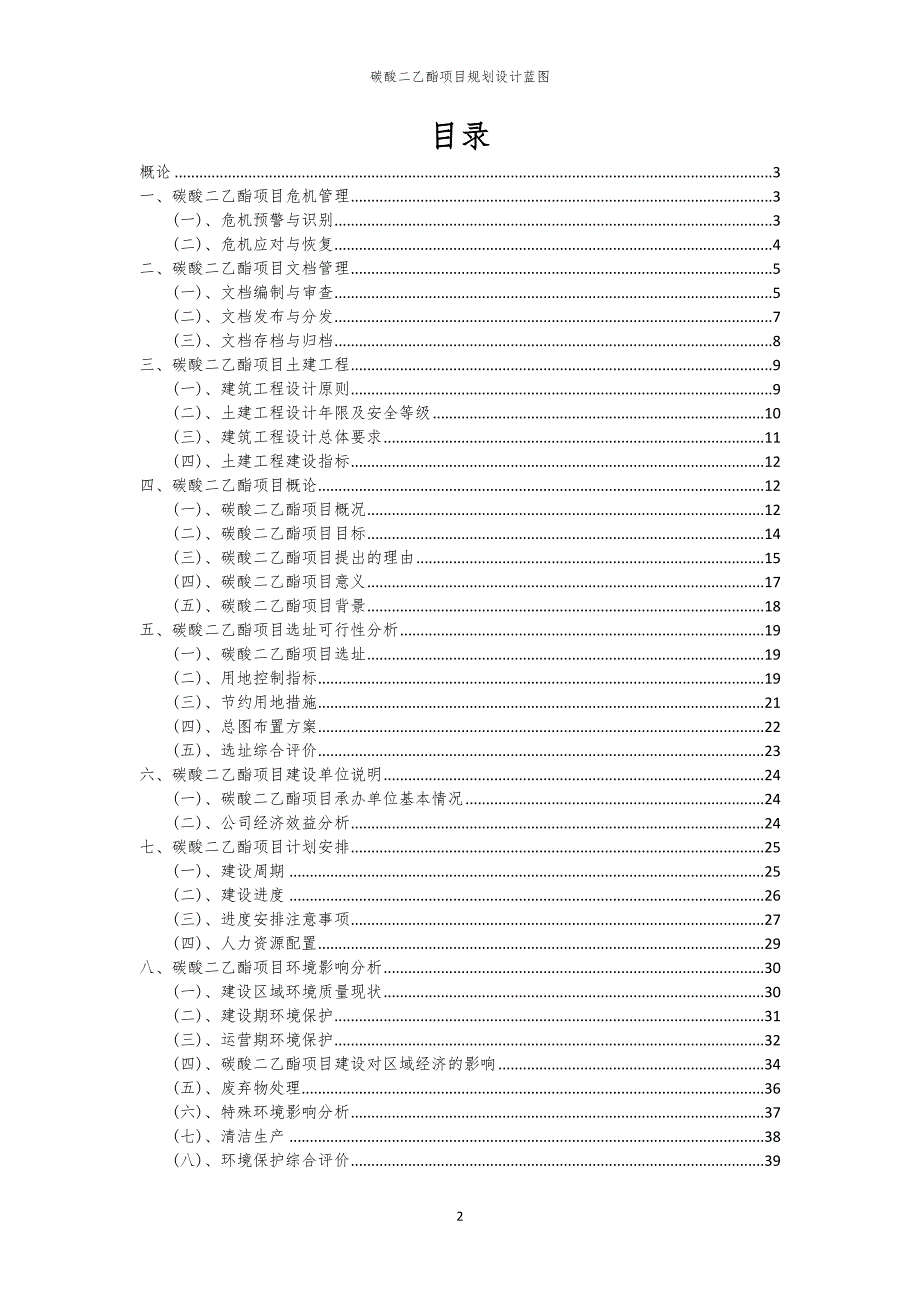 2024年碳酸二乙酯项目规划设计蓝图_第2页