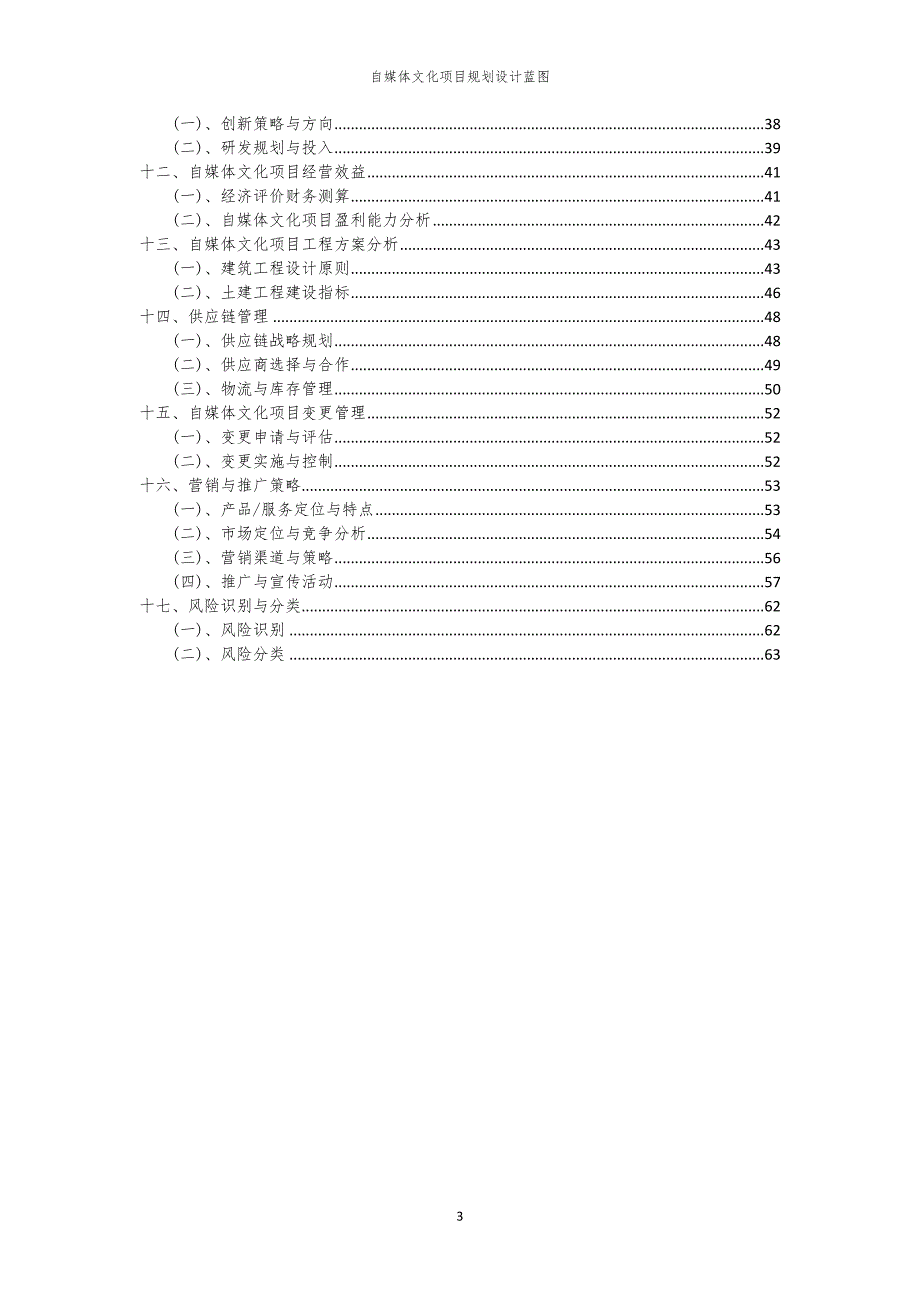 2024年自媒体文化项目规划设计蓝图_第3页