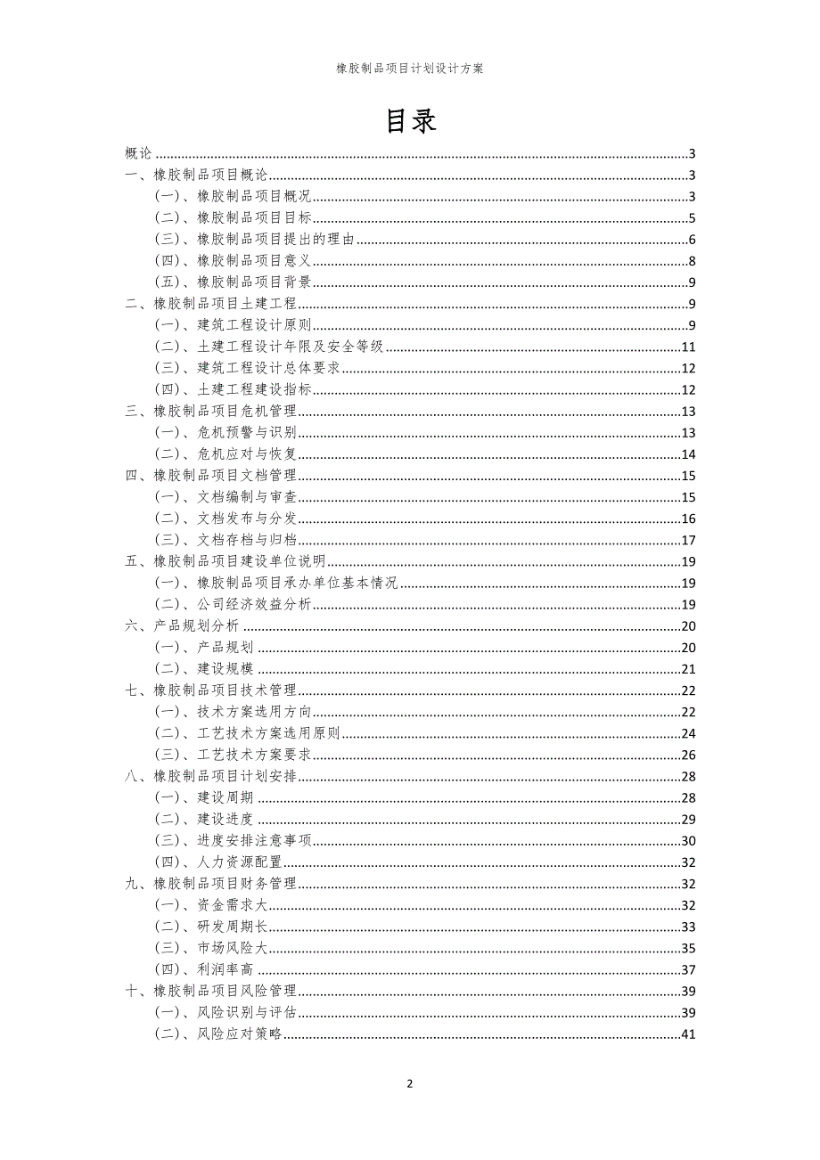 2024年橡胶制品项目计划设计方案_第2页