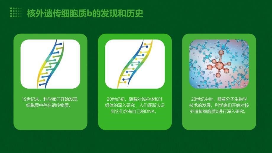 《核外遗传细胞质B》课件_第5页