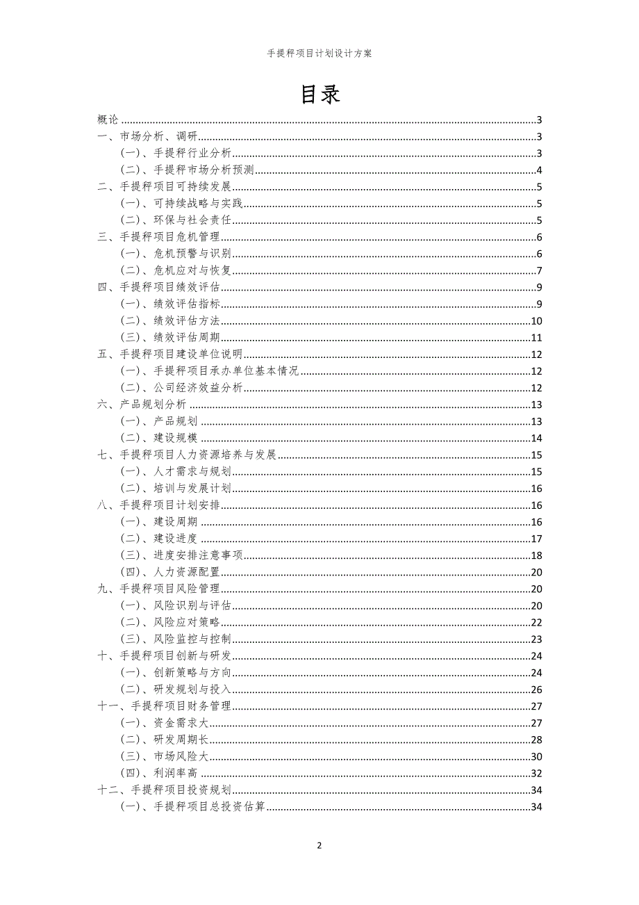 手提秤项目计划设计方案_第2页