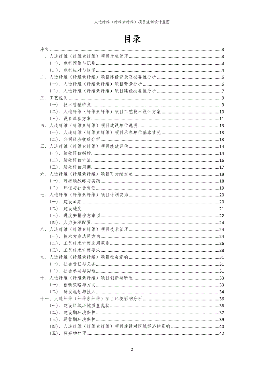 2024年人造纤维（纤维素纤维）项目规划设计蓝图_第2页