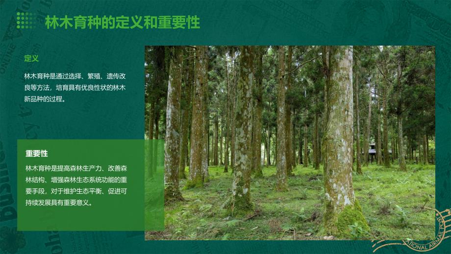 《林木育种策略》课件_第4页