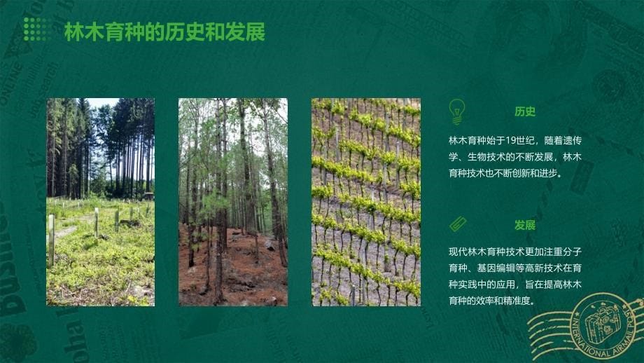 《林木育种策略》课件_第5页