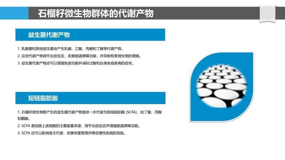 石榴籽微生物群的组成及代谢产物_第5页