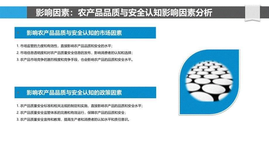 农产品品质与安全认知的理论模型_第5页