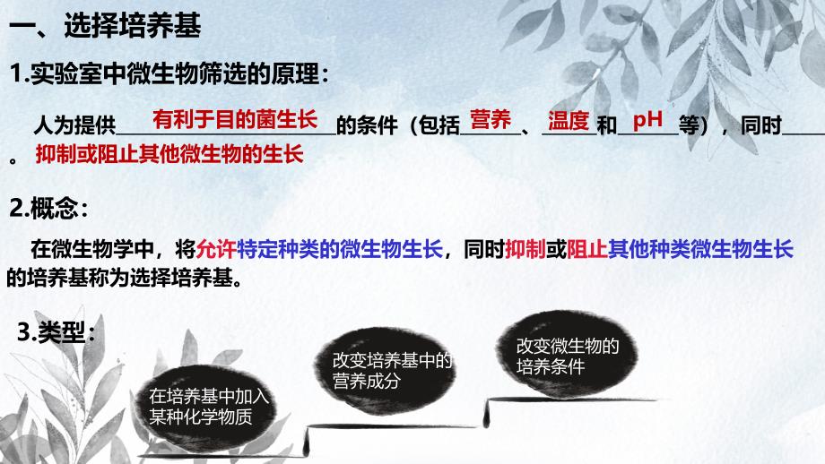 【课件】+微生物的培养技术及应用课件高二下学期生物人教版选择性必修3_第3页