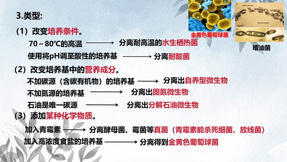 【课件】+微生物的培养技术及应用课件高二下学期生物人教版选择性必修3_第4页