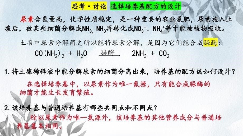 【课件】+微生物的培养技术及应用课件高二下学期生物人教版选择性必修3_第5页