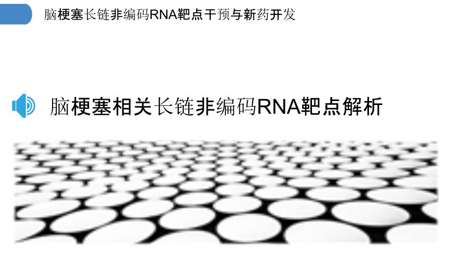脑梗塞长链非编码RNA靶点干预与新药开发_第3页