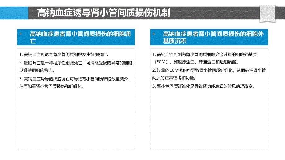 高钠血症患者肾脏纤维化机制的探索_第5页