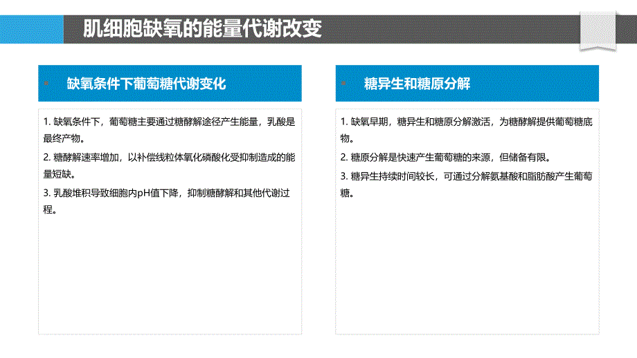 肌细胞缺氧反应中的能量代谢_第4页