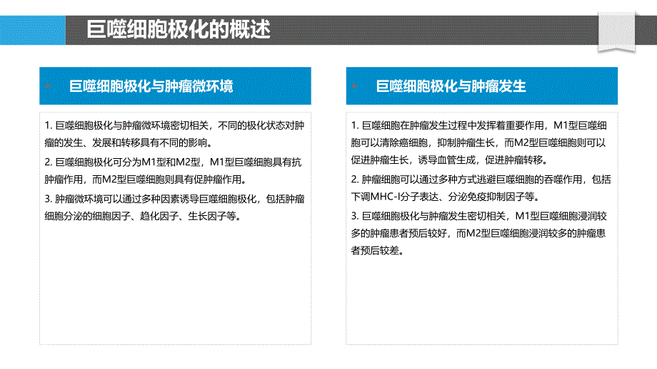 巨噬细胞极化与肿瘤治疗_第4页