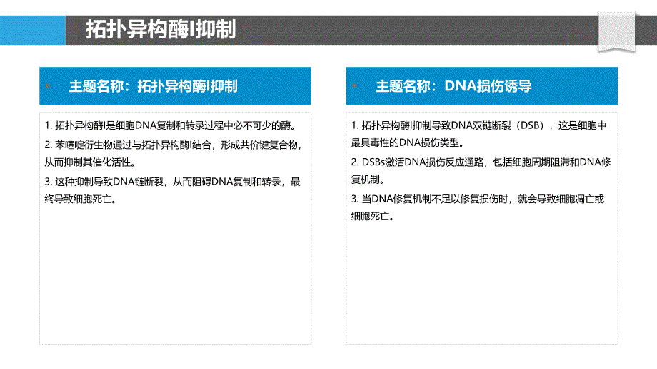 苯噻啶衍生物的抗癌机制_第4页