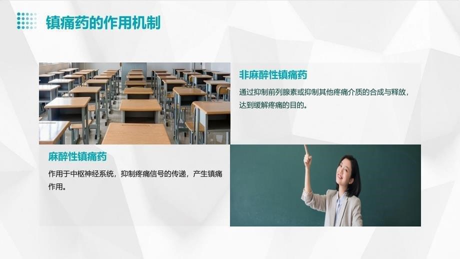 药理学课件第19章镇痛药_第5页