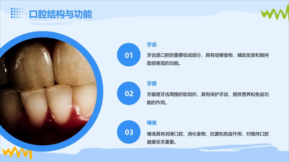 《口腔护理新进展》课件_第4页