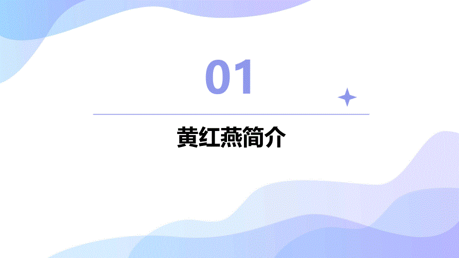 《湘仪学校黄红燕》课件_第3页