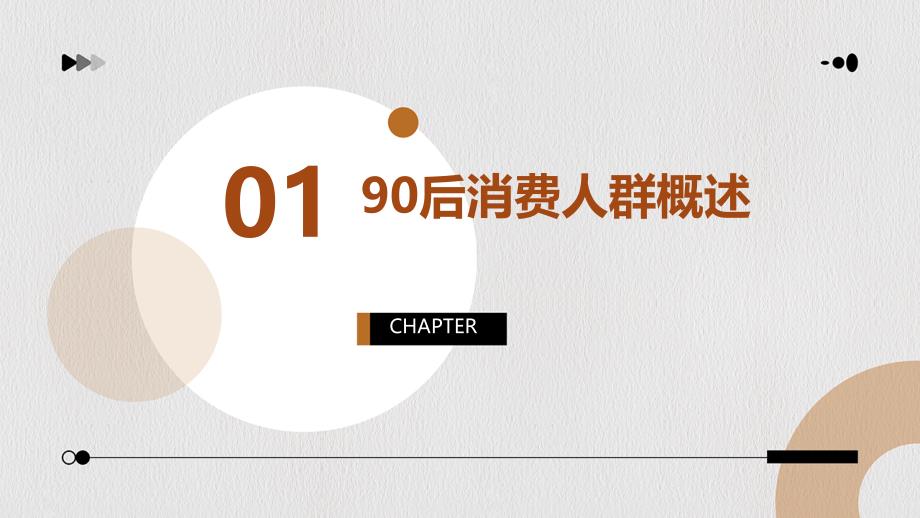 《90消费人群分析》课件_第3页