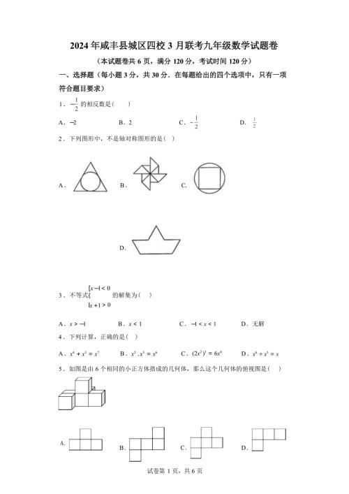 湖北省咸丰县城区2023-2024学年九年级下学期联考数学试题