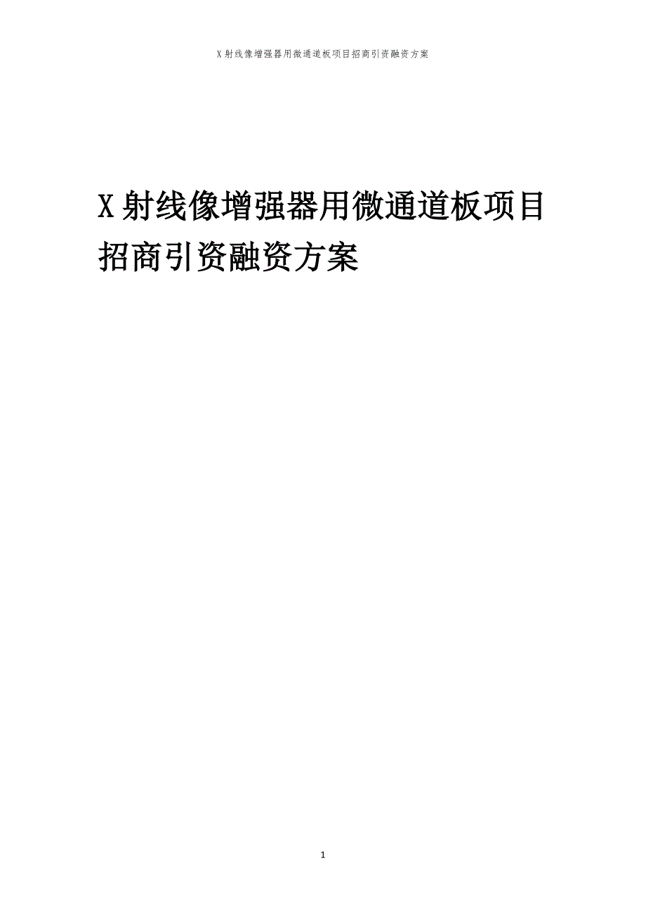 X射线像增强器用微通道板项目招商引资融资方案_第1页