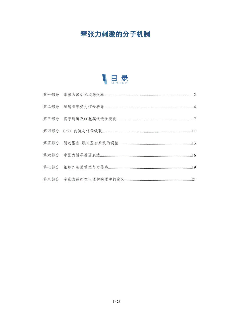 牵张力刺激的分子机制_第1页