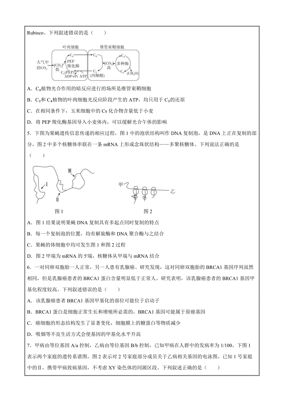 河北省2024届高三下学期3月大数据应用调研联合测评六生物 Word版含解析_第2页