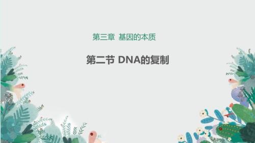 【生物】DNA的复制说课课件-2023-2024学年高一下学期生物人教版必修2
