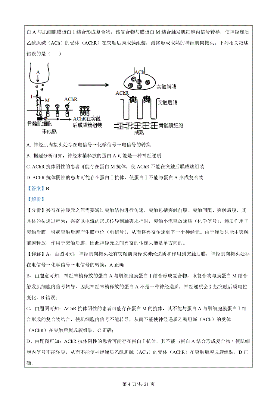 安徽省示范高中皖北协作区2023-2024学年高三下学期联考生物 Word版含解析_第4页