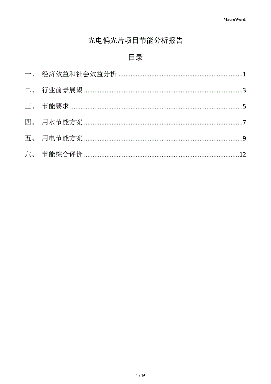 光电偏光片项目节能分析报告_第1页