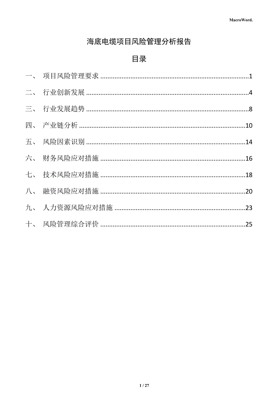 海底电缆项目风险管理分析报告_第1页