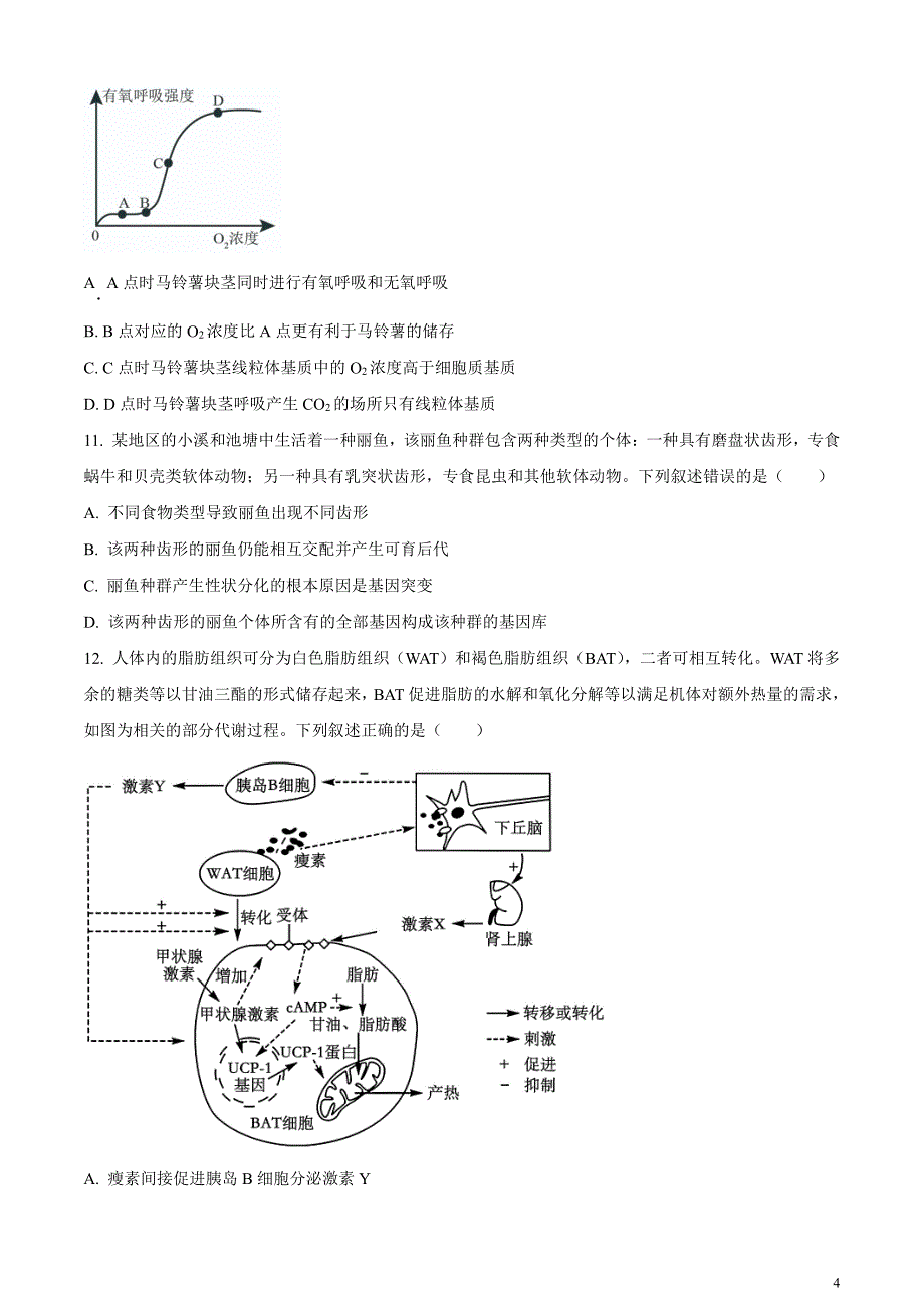 2024届浙江省宁波市十校高三下学期3月联考（二模）生物试题无答案_第4页