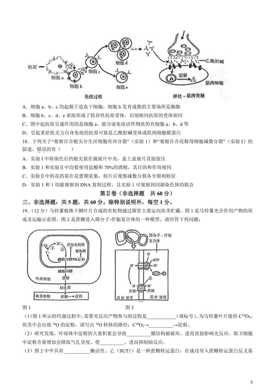 江苏省南京市、盐城市2024届高三下学期3月第一次模拟考试生物含答案_第5页