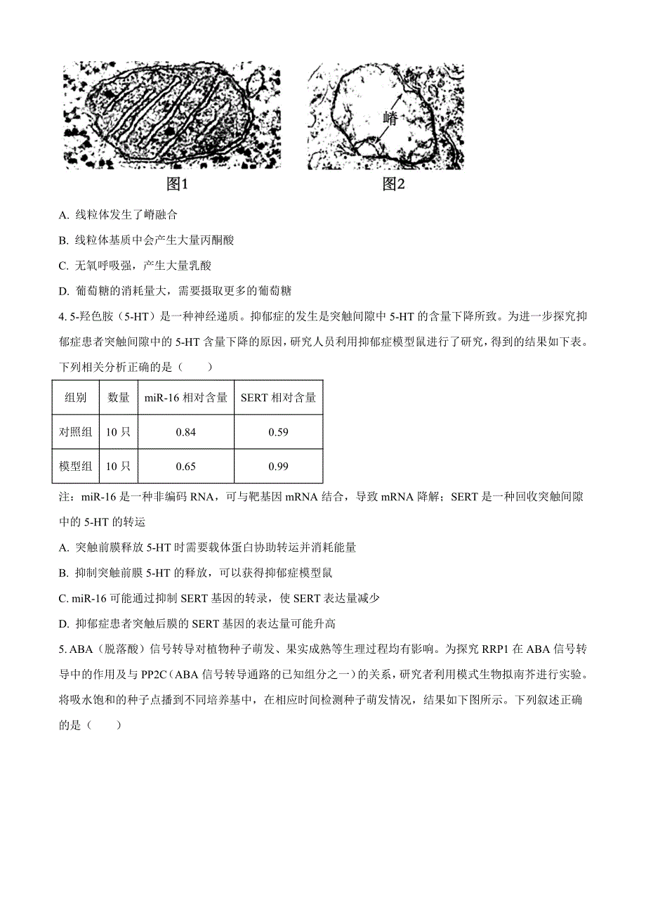 天津市河东区2024届高三下学期一模考试生物含解析_第2页