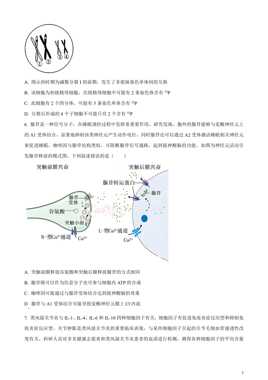 安徽省名校教研联盟2024届高三下学期3月联考生物试卷无答案_第3页