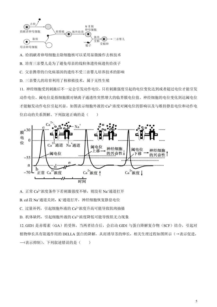 安徽省名校教研联盟2024届高三下学期3月联考生物试卷无答案_第5页