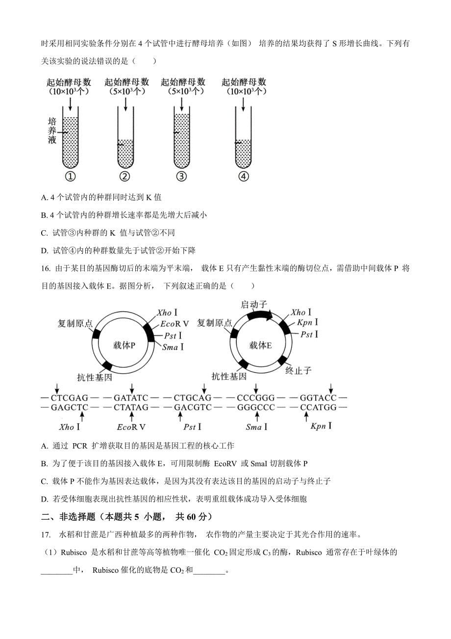 广西南宁市2024届高三下学期3月第一次适应性测试（一模）生物含解析_第5页