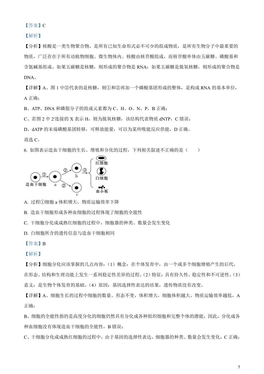 湖南省长沙市师范大学附属中学2024届高三下学期模拟考试（一）生物试卷含解析_第5页