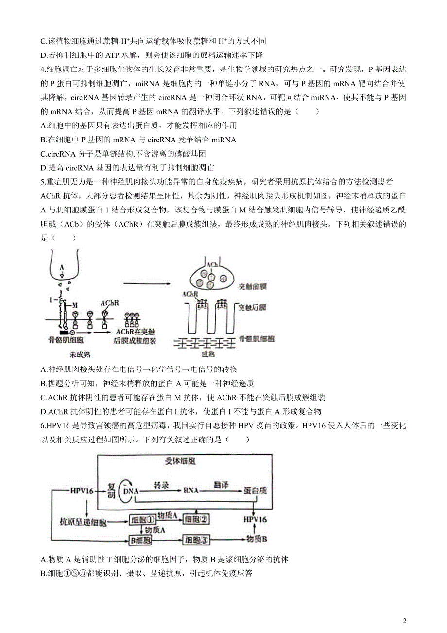 安徽省示范高中皖北协作区2024届高三下学期3月联考试题生物含答案_第2页