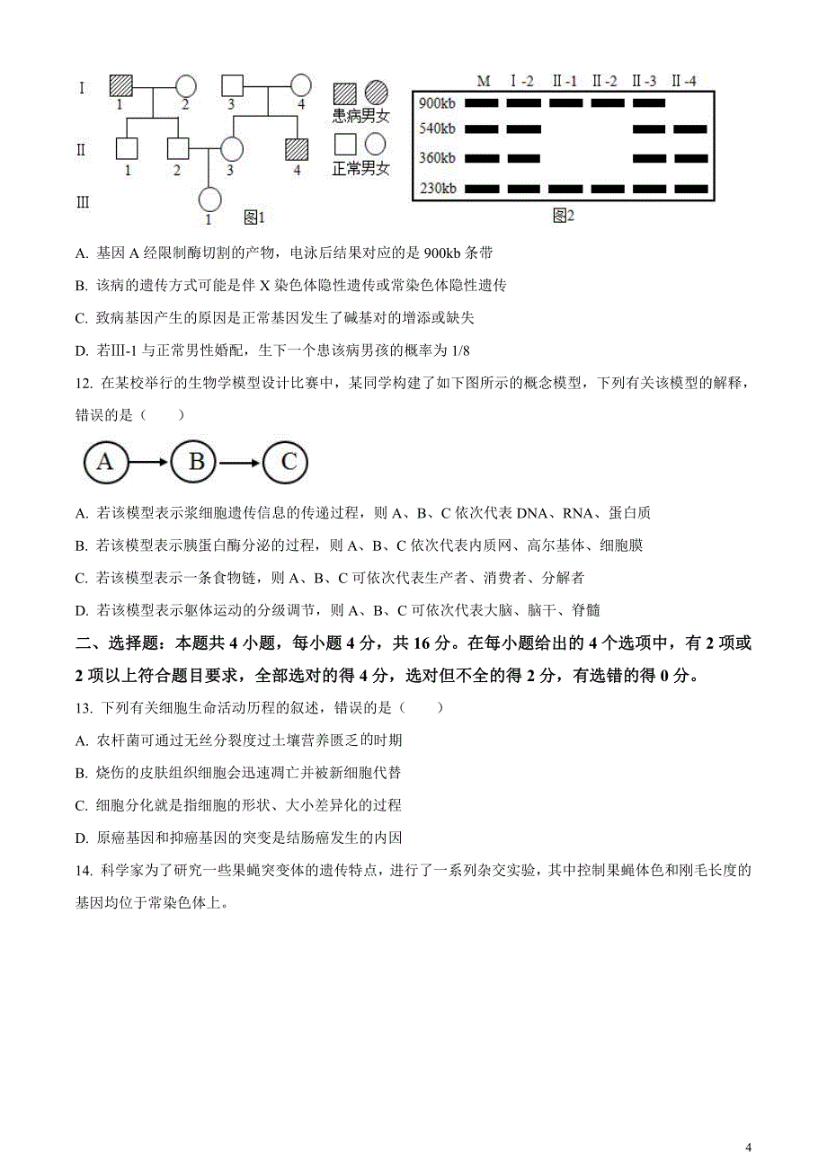 江西省赣州市2023-2024学年高三下学期3月摸底考试生物试题（原卷版）_第4页