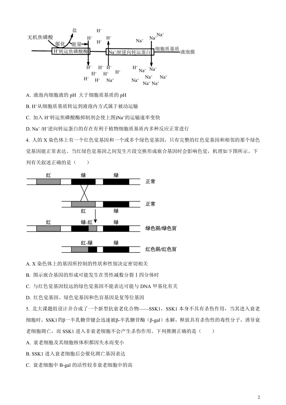 重庆市七校联盟2023-2024学年高三下学期第一次月考生物试题无答案_第2页