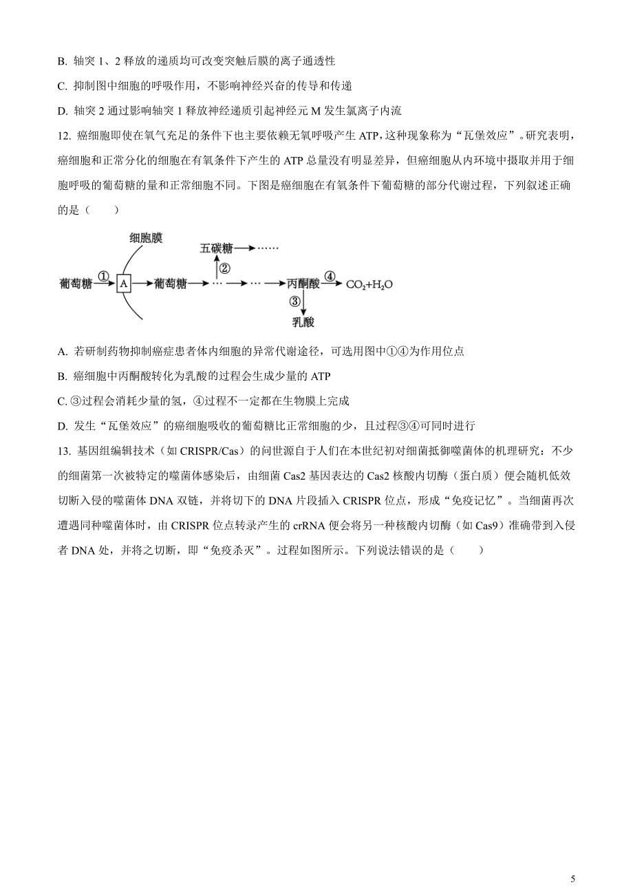 重庆市七校联盟2023-2024学年高三下学期第一次月考生物试题无答案_第5页