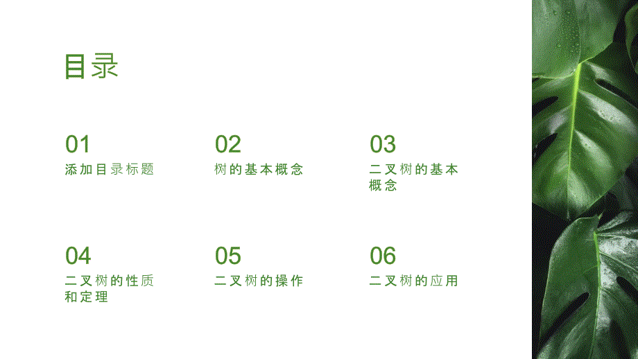 云大《数据结构》课程教学课件-第6章 树和二叉树_第2页