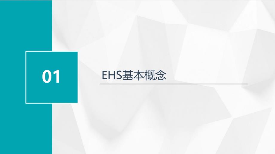 《EHS基本知识》课件_第3页