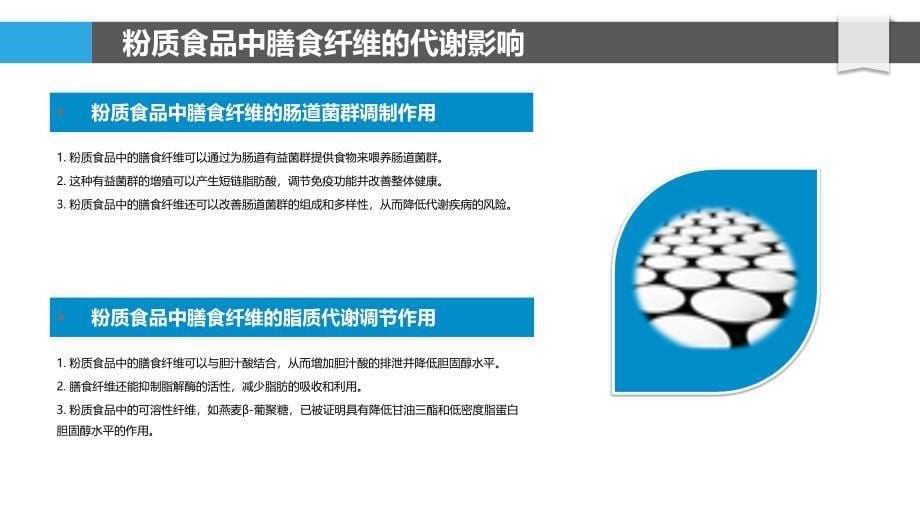 粉质食品对代谢疾病的潜在益处_第5页