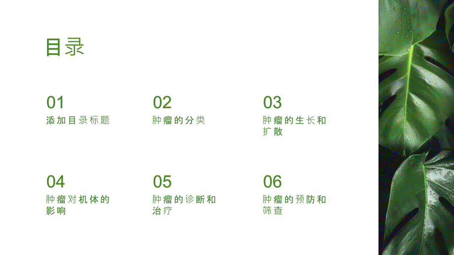 《病理学肿瘤下》课件_第2页