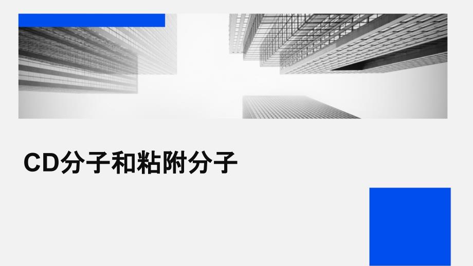 《CD分子和粘附分子》课件_第1页