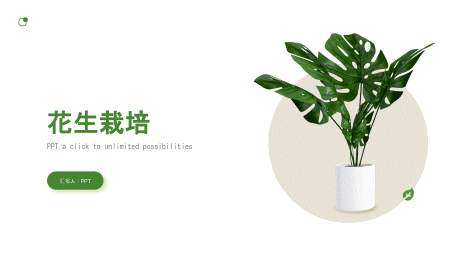 《花生栽培》课件_第1页